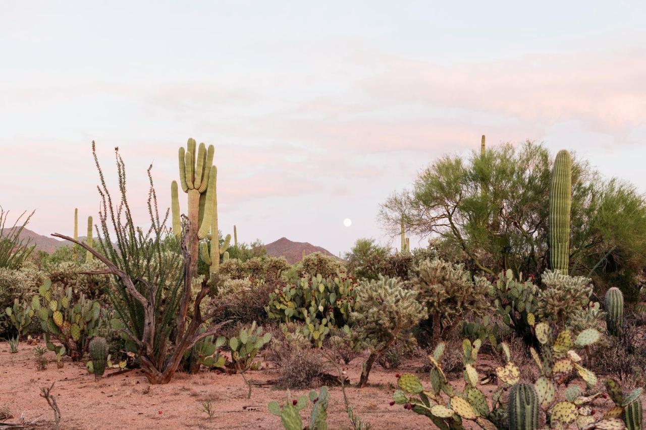 The Jth Tucson Hotel Avra Bagian luar foto
